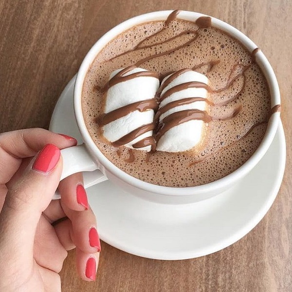 Uống ca cao giúp cung cấp nguồn chất xơ dồi dào cho cơ thể