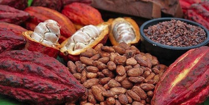 Bảng giá bột ca cao nguyên chất mới nhất 2020