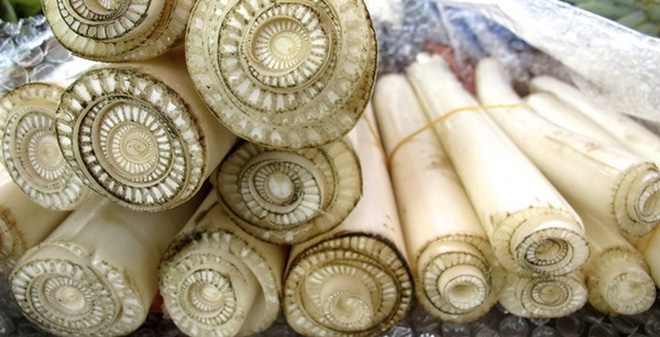 Thân cây chuối mang nhiều lợi ích