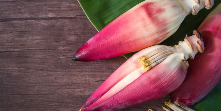 Ăn hoa chuối có tác dụng gì? Ăn nhiều có tốt không?