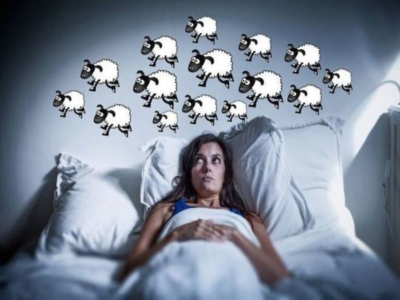 Tác dụng của cây đinh lăng trong việc chữa đau đầu, mất ngủ