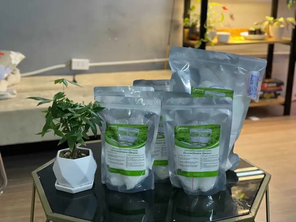 Phân loại dựa trên hình dạng