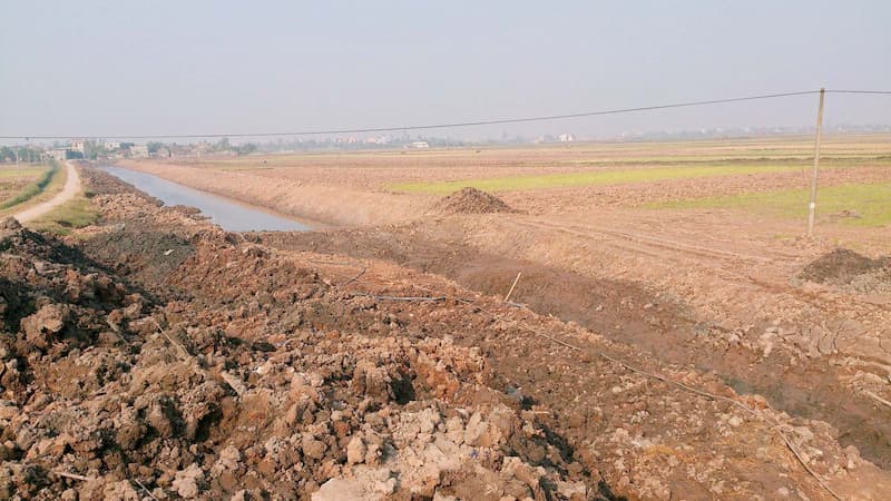 Nguyên nhân hình thành đất phèn