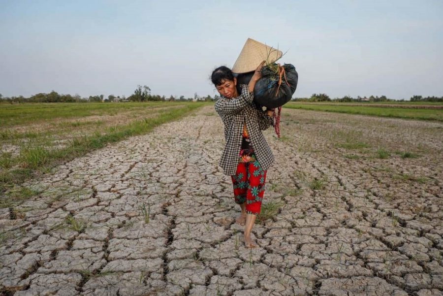 Biện pháp cải tạo và sử dụng đất mặn