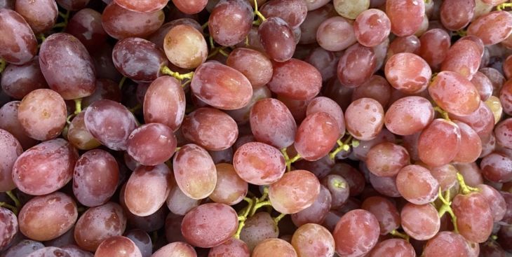 Các giống nho ở Việt Nam ngon, được ưa chuộng nhất hiện nay