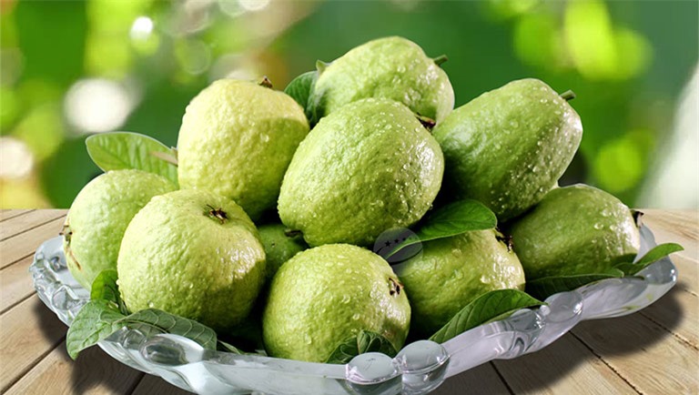 Ăn ổi nữ hoàng giúp tăng cường hệ miễn dịch