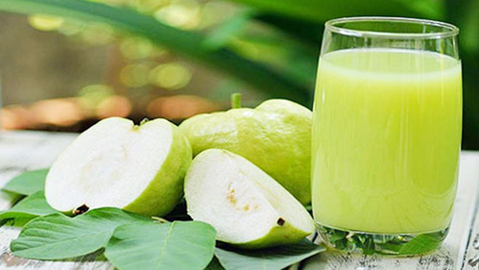 Hướng dẫn cách sử dụng ổi nữ hoàng ruột trắng