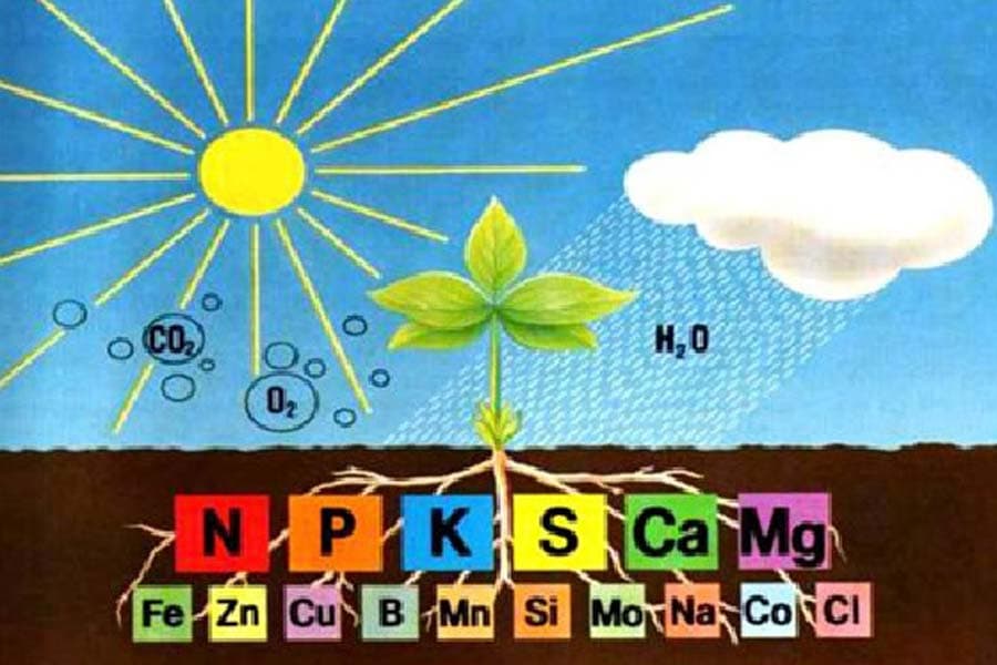 Nguyên tố khoáng là gì?