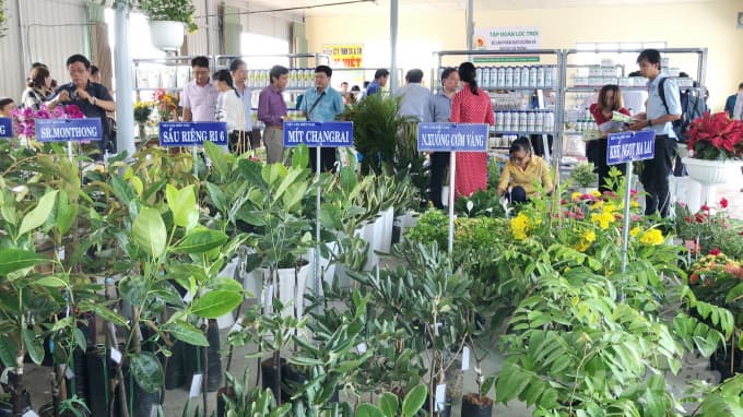 Chú ý đến khâu chọn giống cây trồng