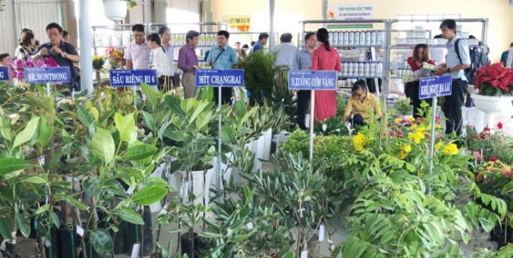 Bật mí kinh nghiệm trồng cây ăn quả cho năng suất cao