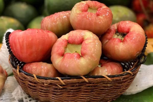 Mận Hồng Đào xuất hiện từ rất lâu tại Việt Nam