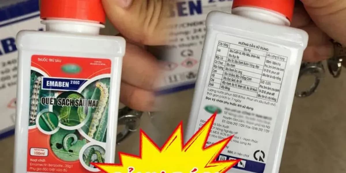 Thuốc chuyên dùng cho cây sầu riêng bị bệnh rầy xanh