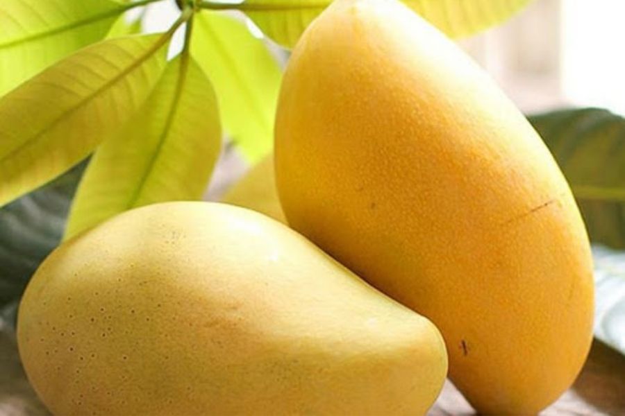 Xoài cát Hòa Lộc ăn có vị ngọt đậm và rất thơm