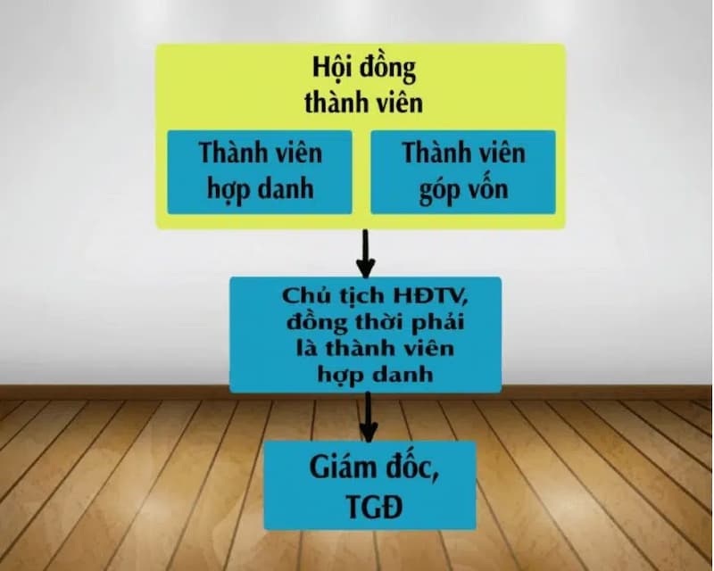 Cơ cấu tổ chức công ty hợp danh