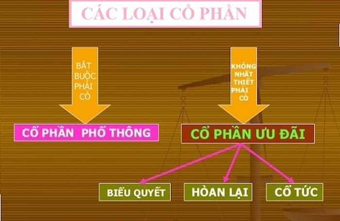 Cổ đông ưu đãi được chia nhỏ làm 3 loại khác nhau