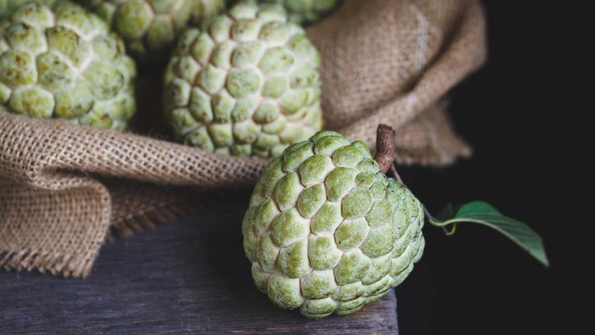 Cách bảo quản na để lâu nhất