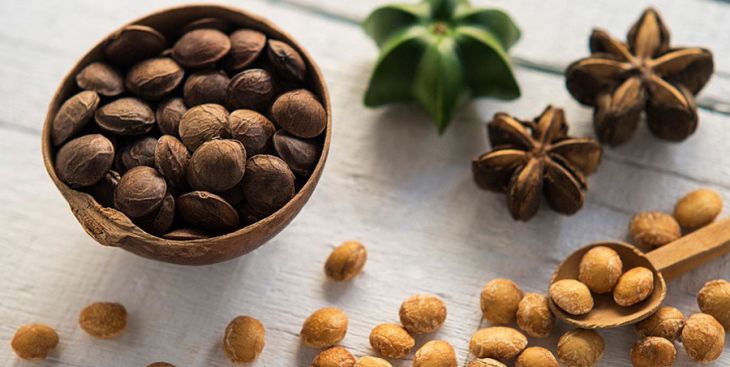 Hạt sachi là hạt gì? Giá hạt sachi bao nhiêu 1kg?