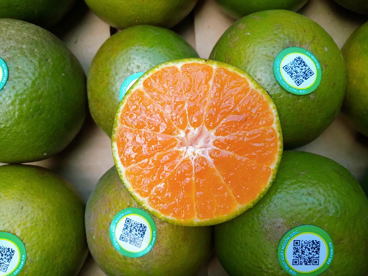 Giá quýt đường bao nhiêu 1kg?