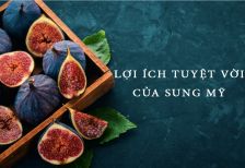 Giá sung mỹ trong tháng hiện tại bao nhiêu 1kg?