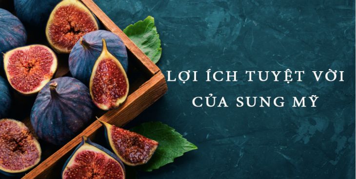 Giá sung mỹ trong tháng hiện tại bao nhiêu 1kg?