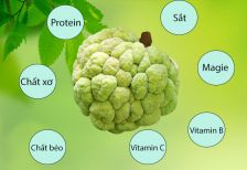 Cập nhật mới nhất về giá na thái và cách chọn na thái tươi ngon