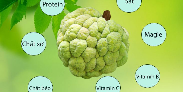 Cập nhật mới nhất về giá na thái và cách chọn na thái tươi ngon