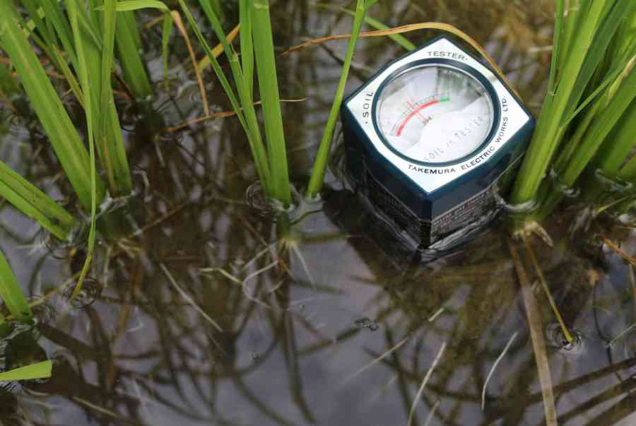 Đất kiềm là gì?