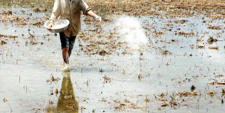 Đất kiềm là gì? Đất kiềm là đất có độ pH là bao nhiêu?