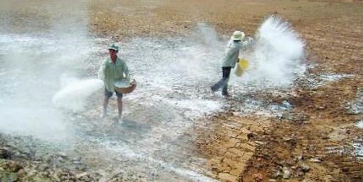 Đất phèn là gì? Đất phèn có độ pH là bao nhiêu? 