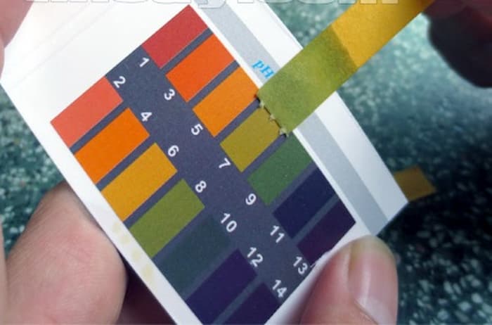 Đo pH đất bằng giấy đo pH