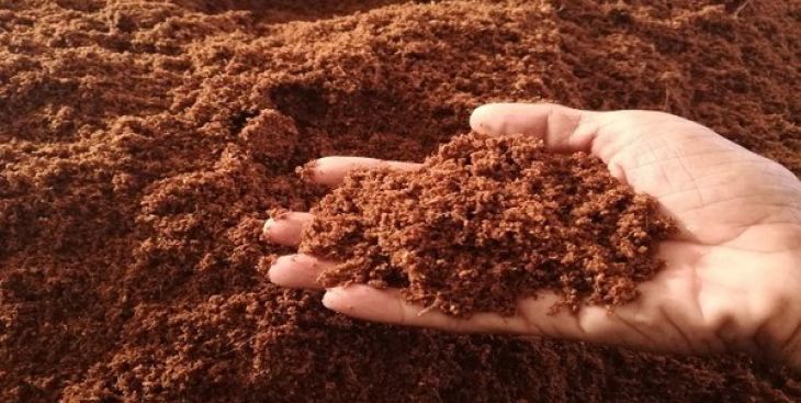 Đất có độ pH = 8 là loại đất gì? Thích hợp để trồng loại cây nào?