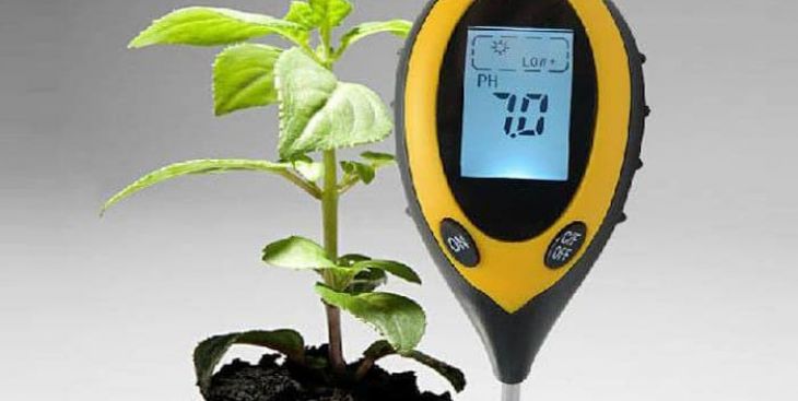 “Đất có độ pH 7.5 là loại đất gì?” - Giải đáp [CHI TIẾT]