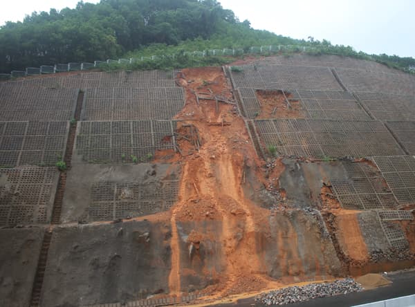 Nguyên nhân khiến đất có tính chua