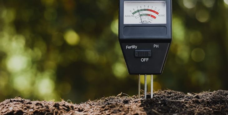Độ pH của đất là gì? Đất có độ pH = 4 là loại đất gì?