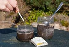 Đất có độ pH = 5 là loại đất gì? - Giải đáp [CHI TIẾT]