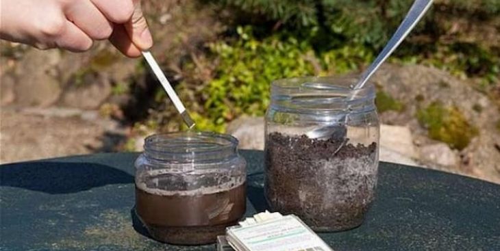 Đất có độ pH = 5 là loại đất gì? - Giải đáp [CHI TIẾT]