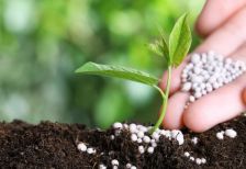 Giải đáp thắc mắc: “Đất trung tính có độ pH là bao nhiêu?”